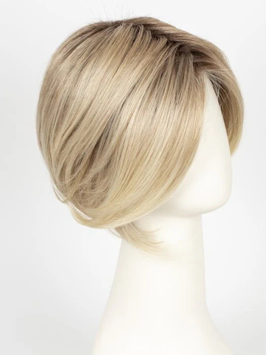 Synthetic Lace Front Wig (Basic Cap)