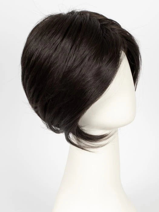 Synthetic Lace Front Wig (Basic Cap)