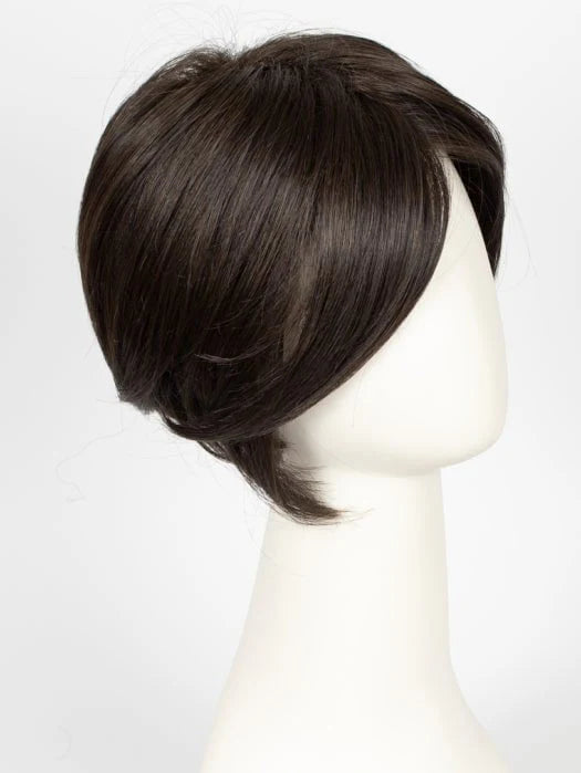 Synthetic Lace Front Wig (Basic Cap)
