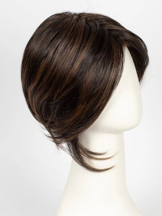 Synthetic Lace Front Wig (Basic Cap)