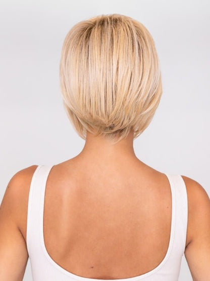 Synthetic Lace Front Wig (Basic Cap)